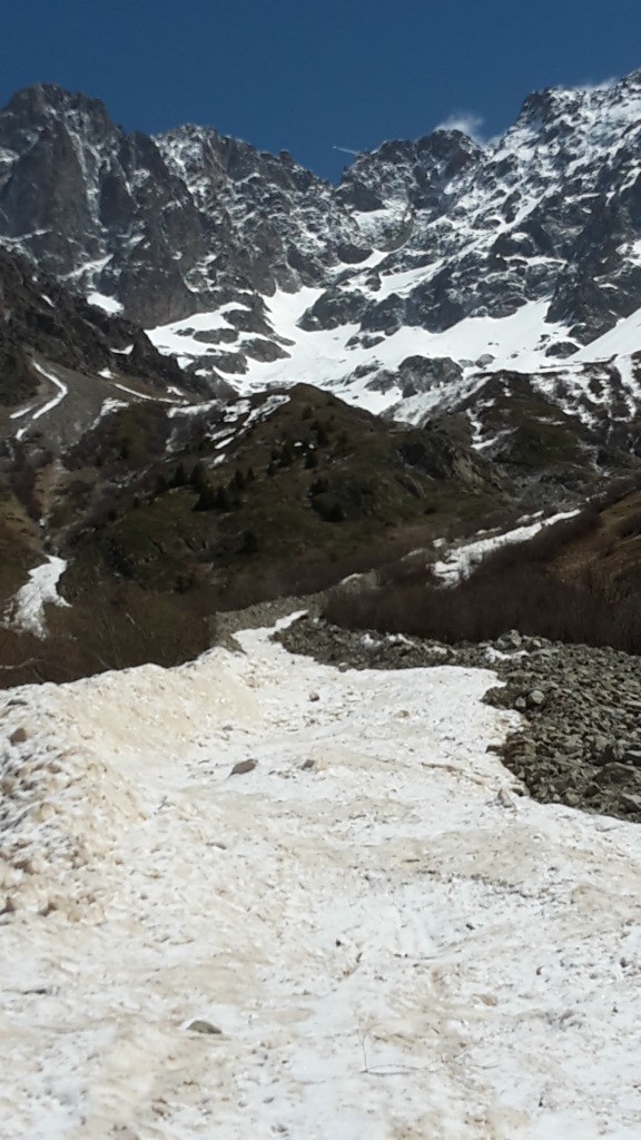 Débris d'avalanche à 1600m