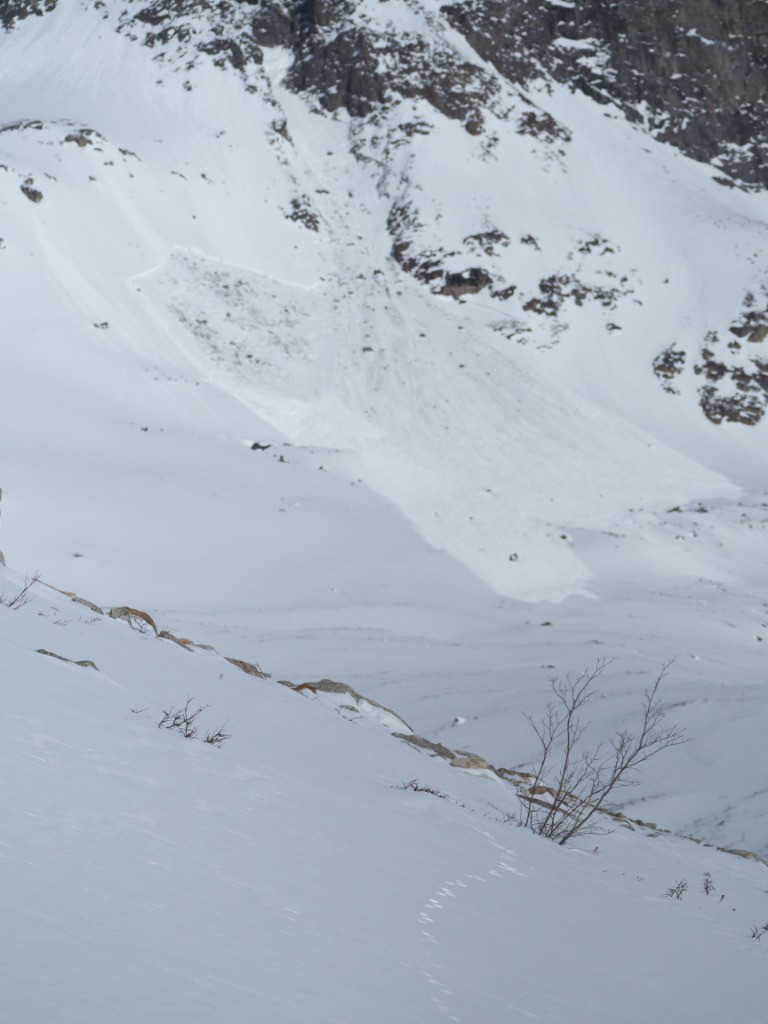 La sortie du couloir ravagée 1 semaine après notre passage
