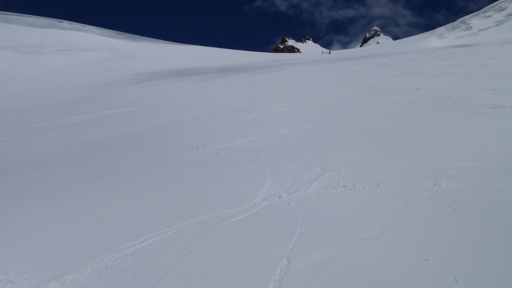 Très bonne moquette