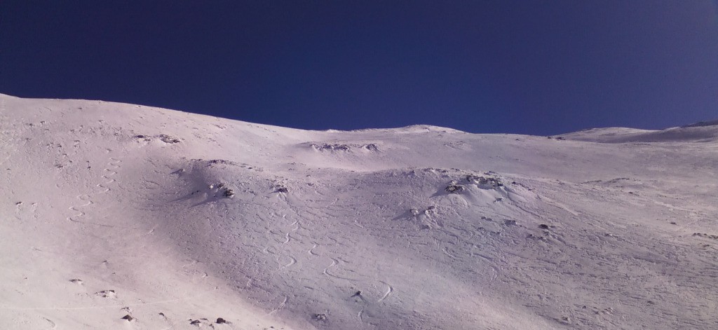 Vue générale du versant au dessus d'Aiguaneix
