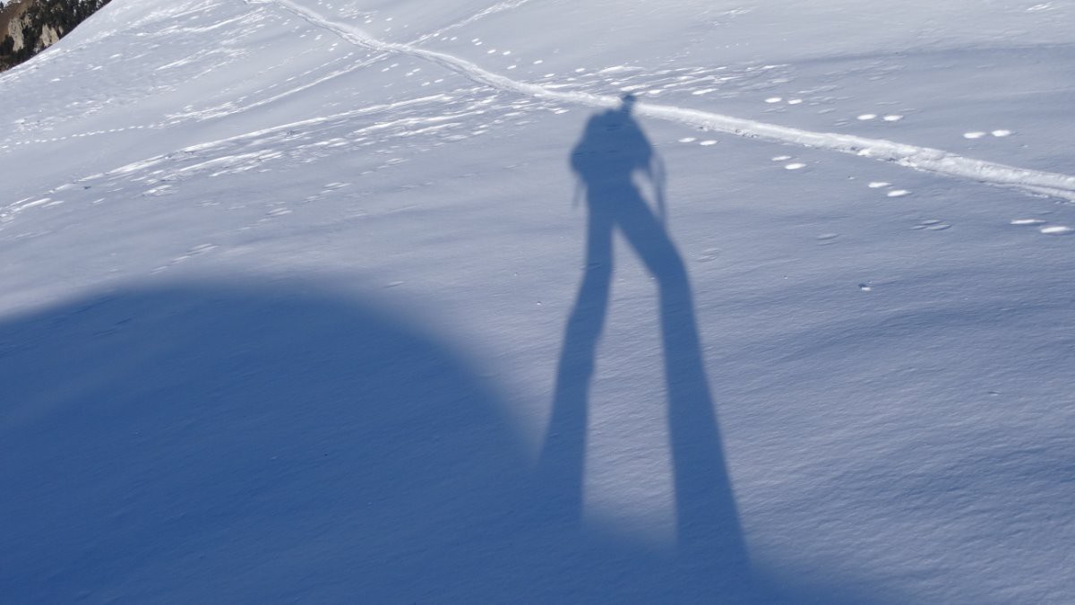 #2 Ombres chinoises Ombres chinoises