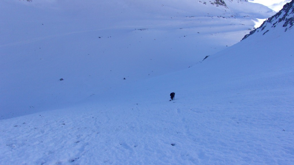 attaque au bas du couloir