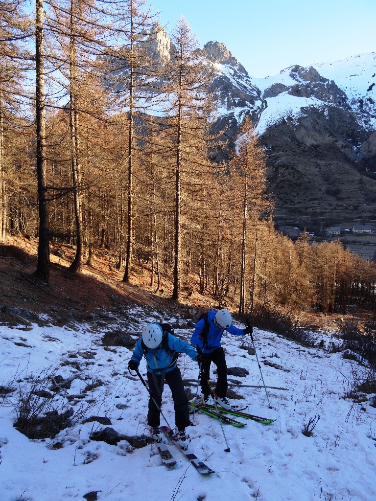on chausse sur fond de mélèze 
