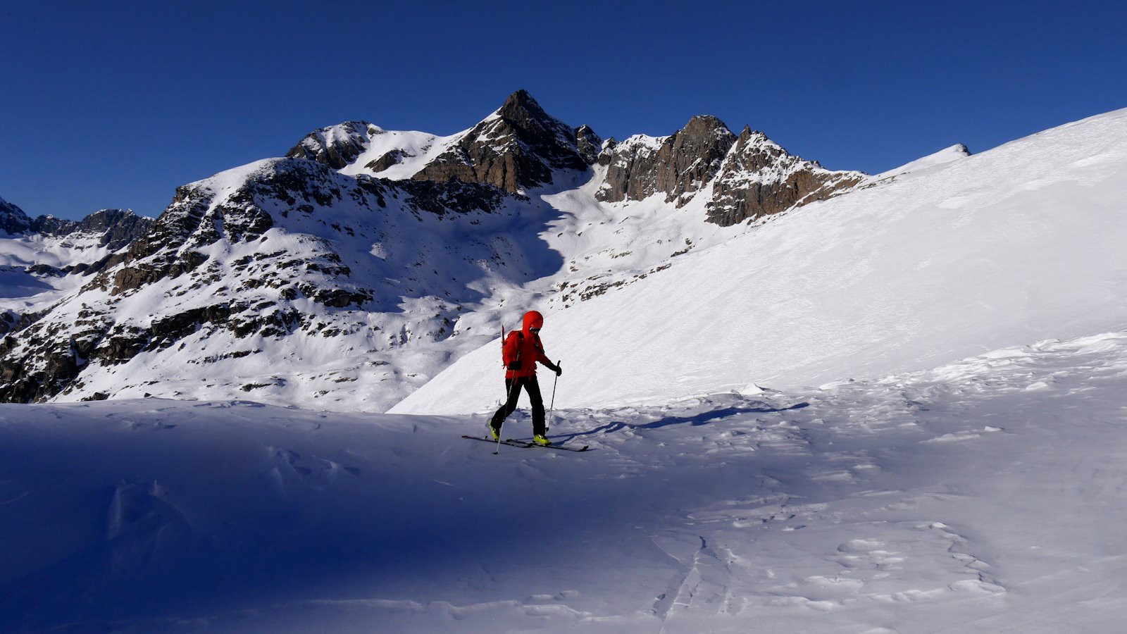 Entre ombre et soleil .