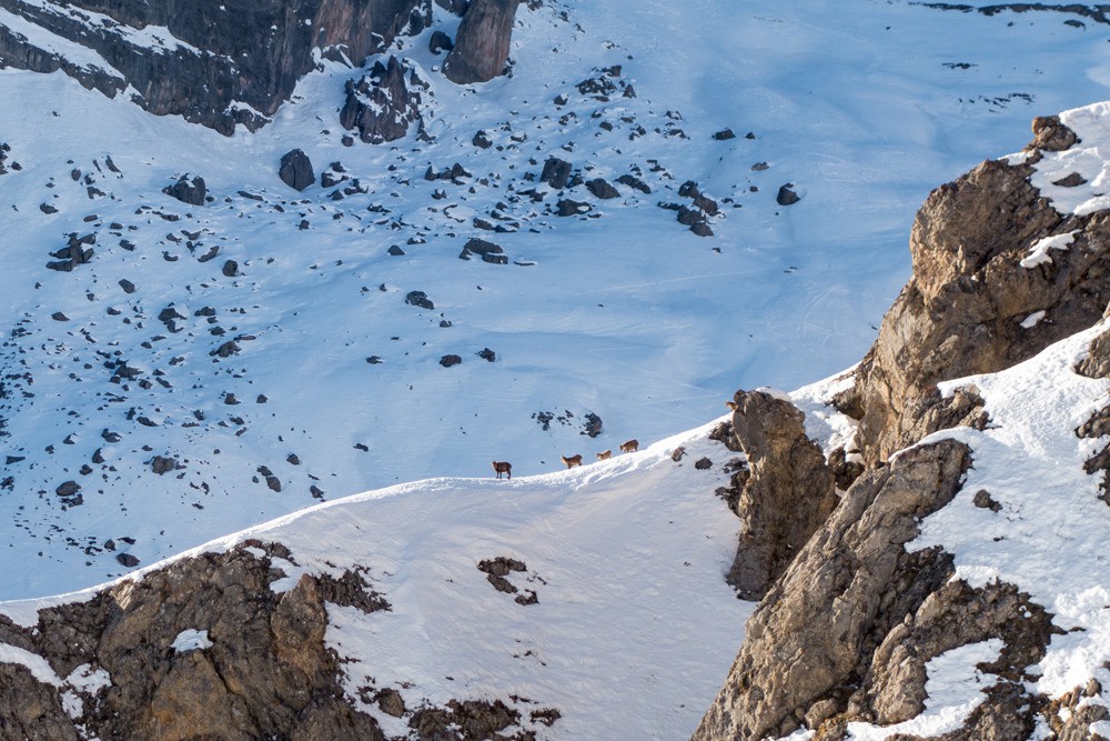 Nous ne sommes pas seuls