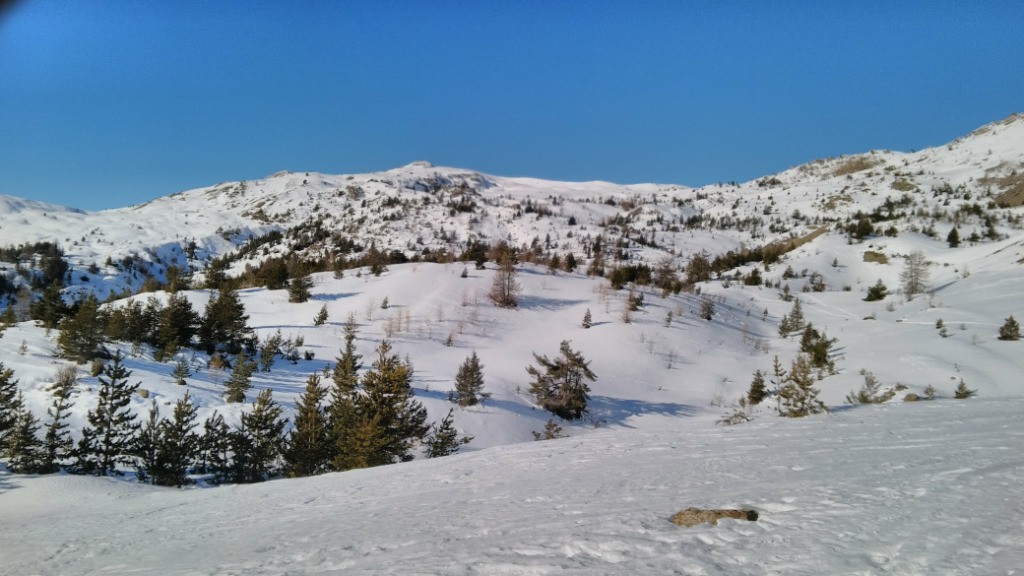 Montée agréable dans les pins et au soleil!