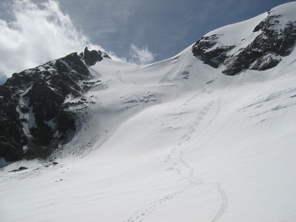 Le glacier du Grand Col : Encore de la poudre....