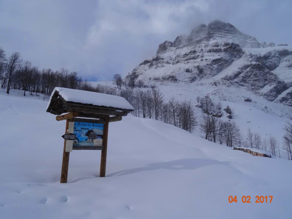 les 4 Têtes en arrière plan