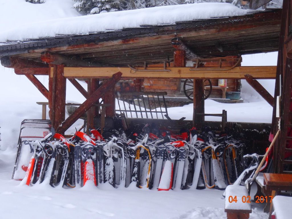 les luges attendent qu'on les chevauche