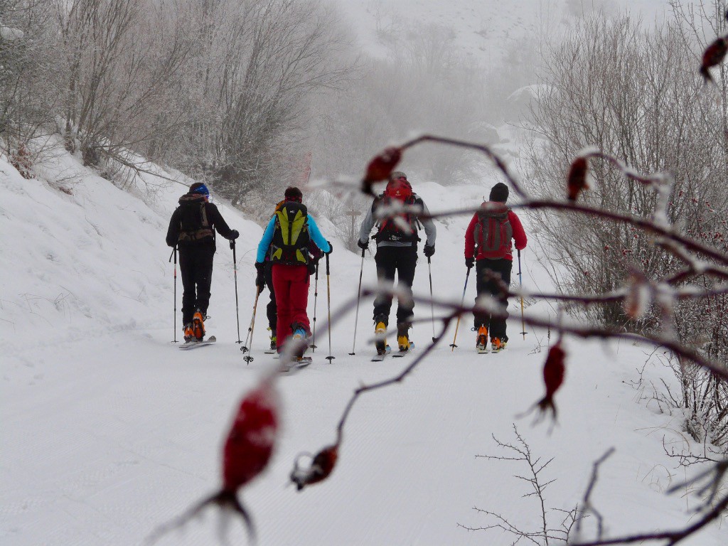 sur la piste de fond