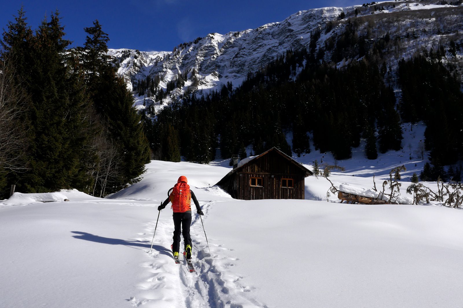 La clairière du chalet de Plan Bérard. 