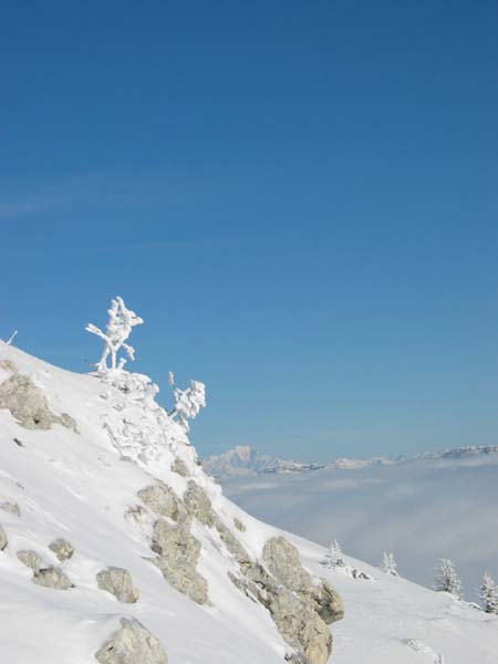 Charmant-Som : Au fond sa majesté le Mont Blanc