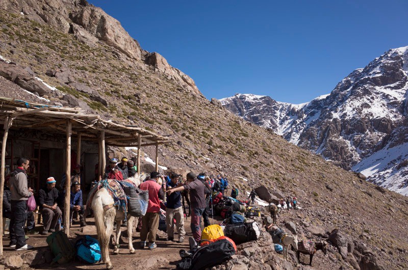 Les mules rebroussent chemin (2800)