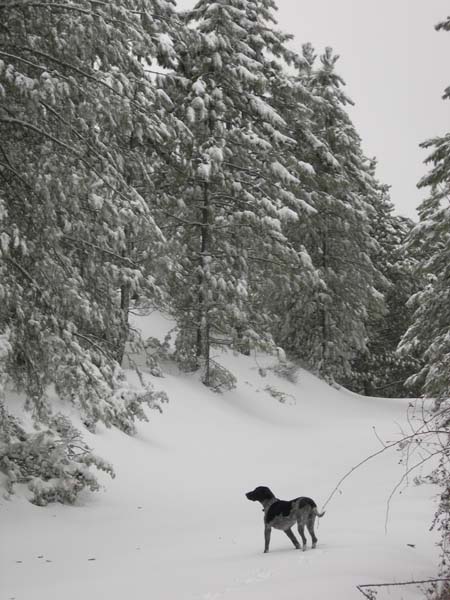 Au départ : La piste très bien enneigée dès le départ