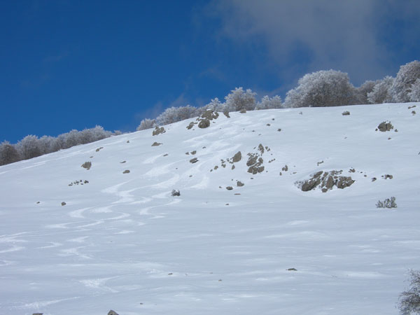 traces : Neige excellente