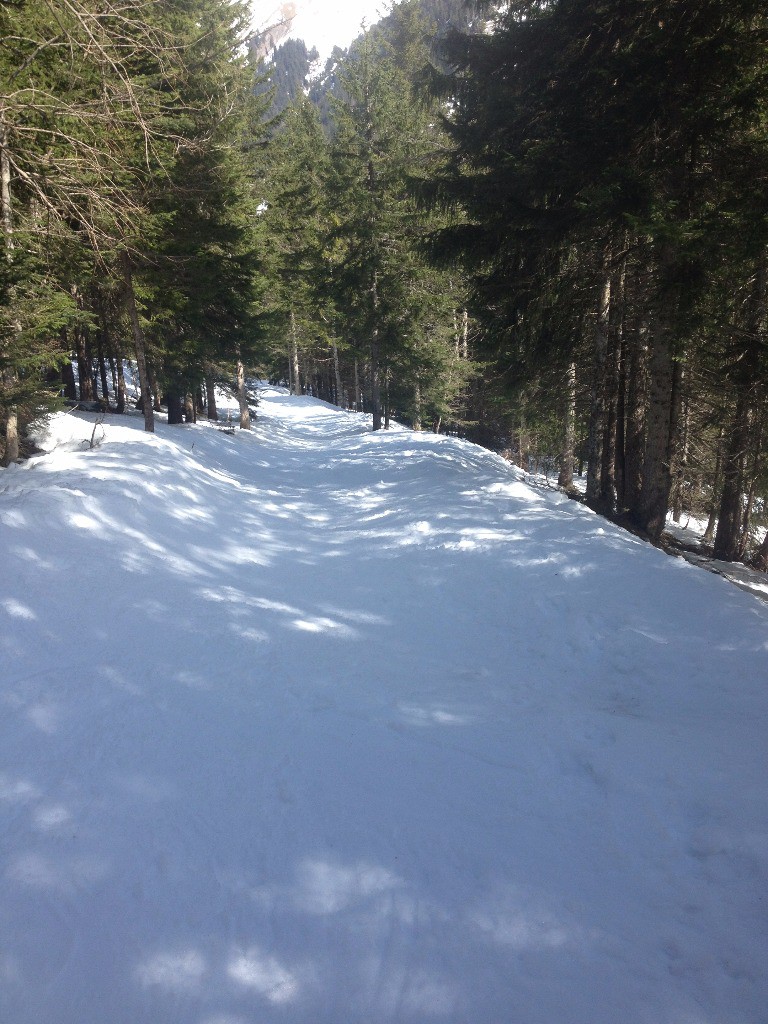 #7 Sentier forestier encore bien enneigé Sentier forestier encore bien enneigé