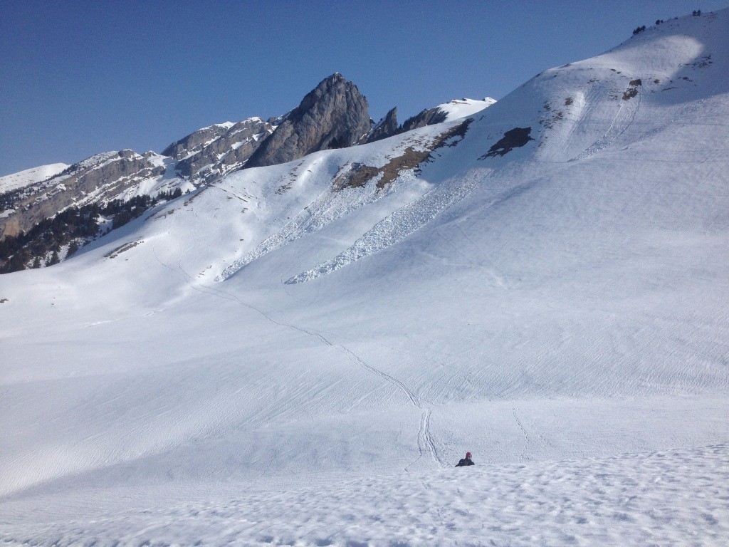 #2 Purges des pentes W de la Tête de l Purges des pentes W de la Tête de l' Aulp
