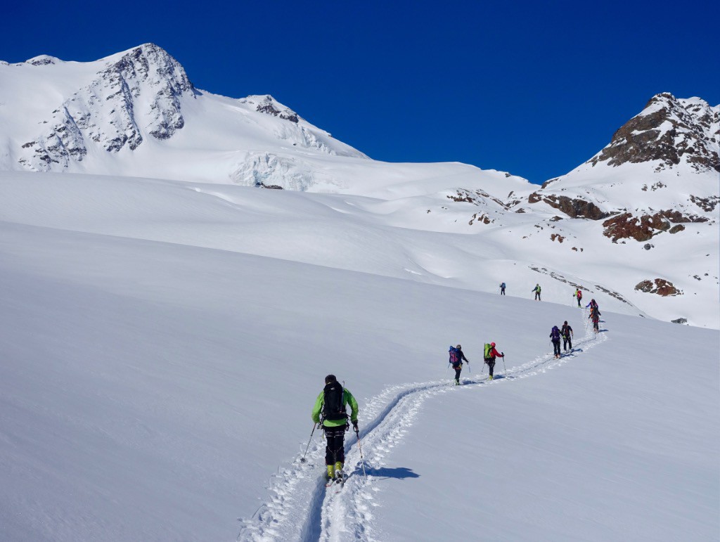 J2 montée sur le glacier de Forni, le Pizzo Trezero en haut à droite.