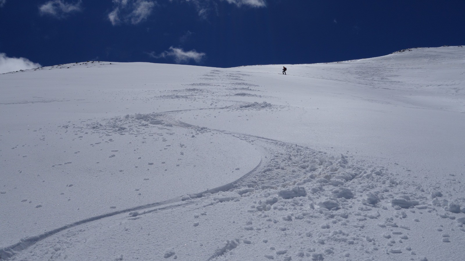 Le meilleur ski de la journée en versant Nord de la Cime de Voga