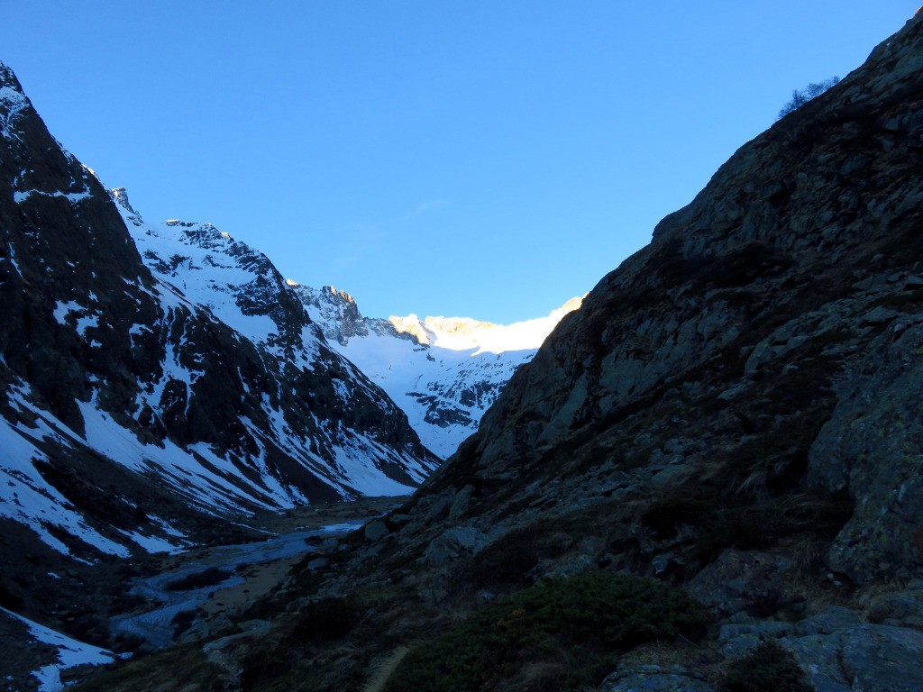 premier regard sur la chose