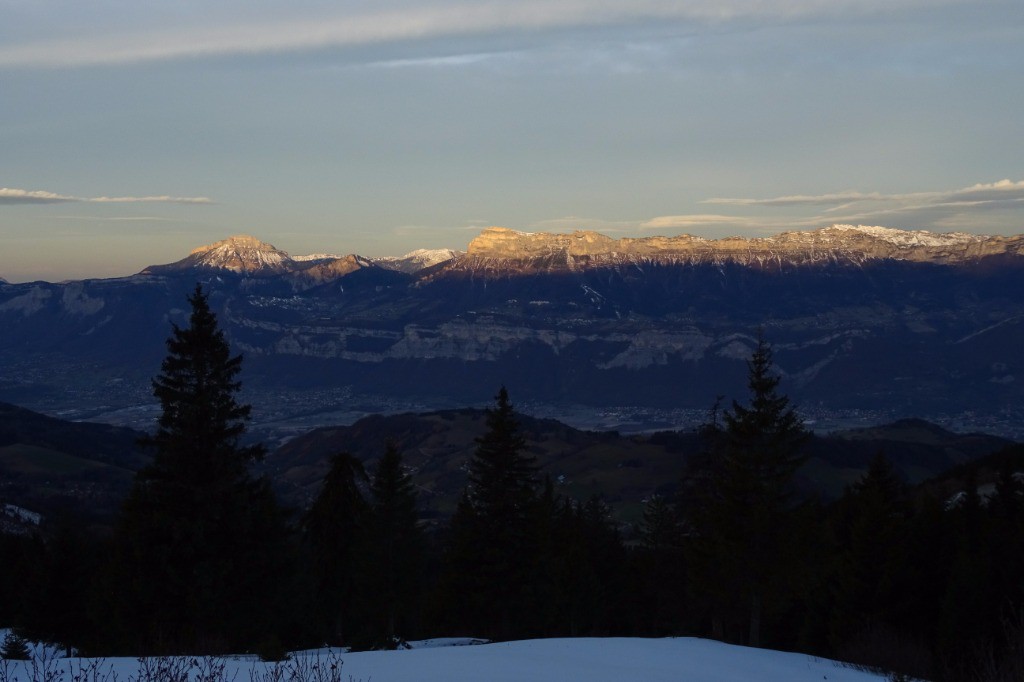 Chartreuse du matin