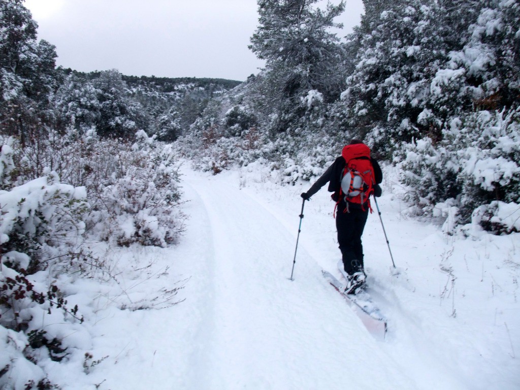 #2 Sur le DFCI, belle épaisseur. Sur le DFCI, belle épaisseur.