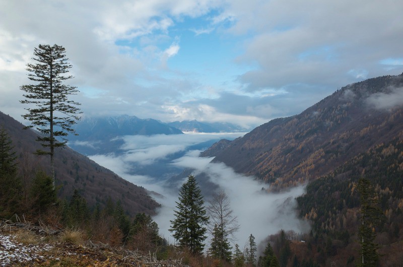 Val d'Arbedo : ambiance plus automnale qu'hivernale
