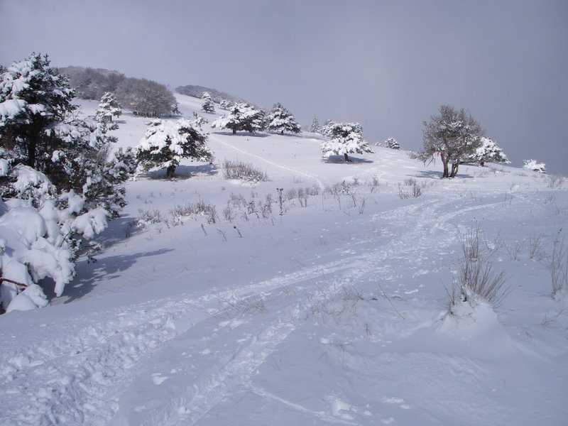 La Peyrouse : Ambiance hivernale