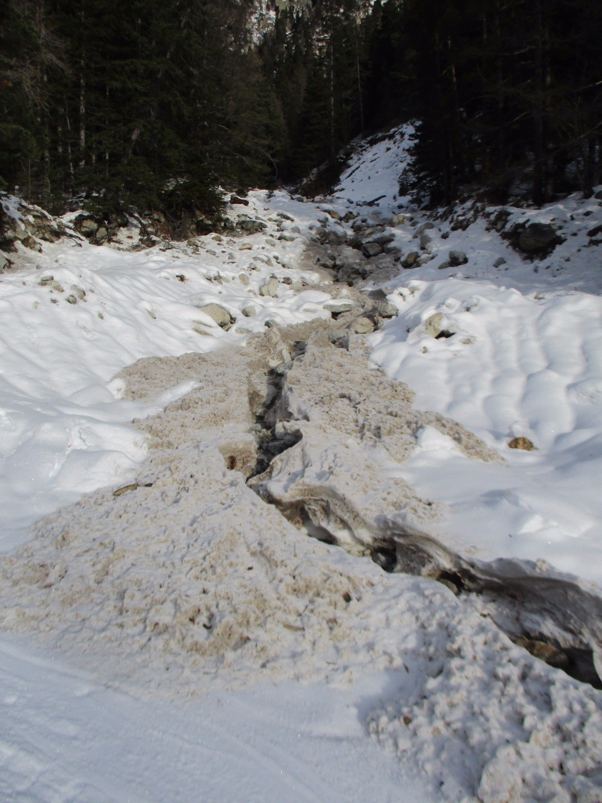 Pas commun, le ruisseau dans la neige...