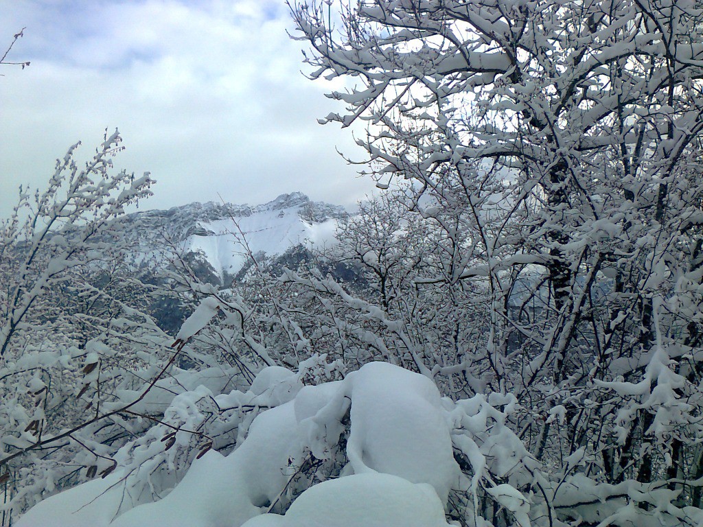 Tableau de peuf...