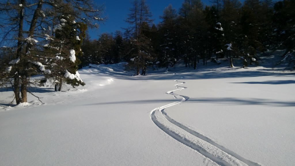 Belles clairières, bonne neige!