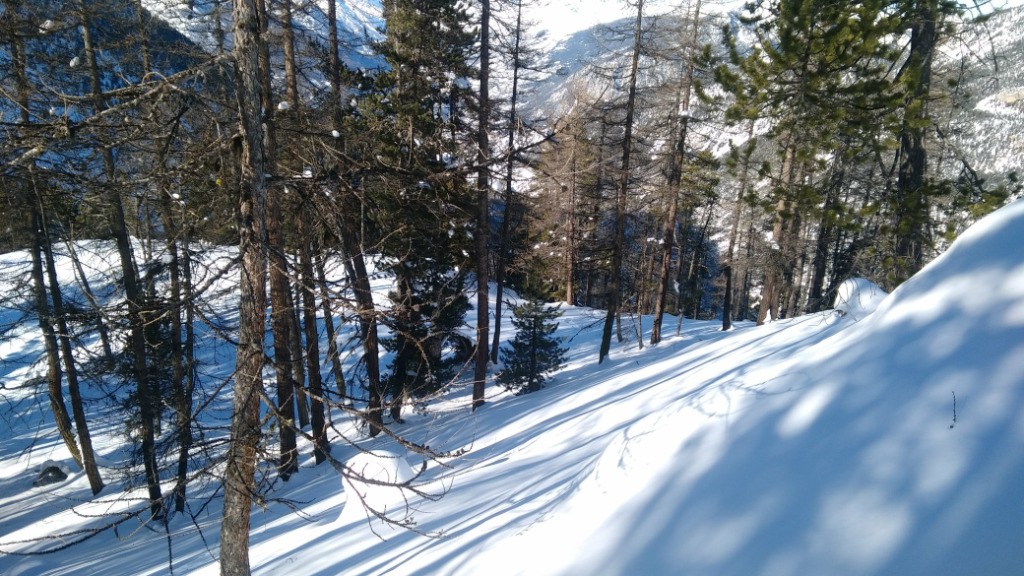 Bois de Maratra; de belles trouées, en bonne neige dans la partie haute du bois.
Moins bien dans la partie basse.