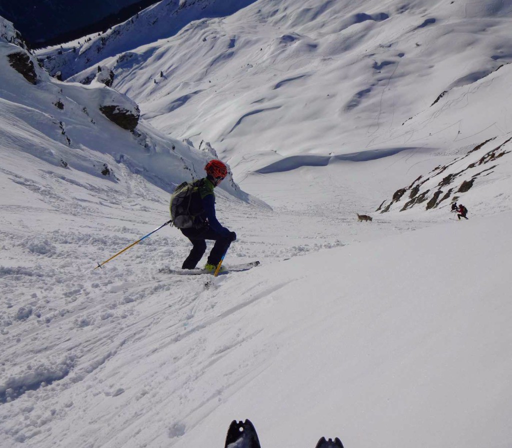 #3 couloir en carton dû au soleil de la veille couloir en carton dû au soleil de la veille