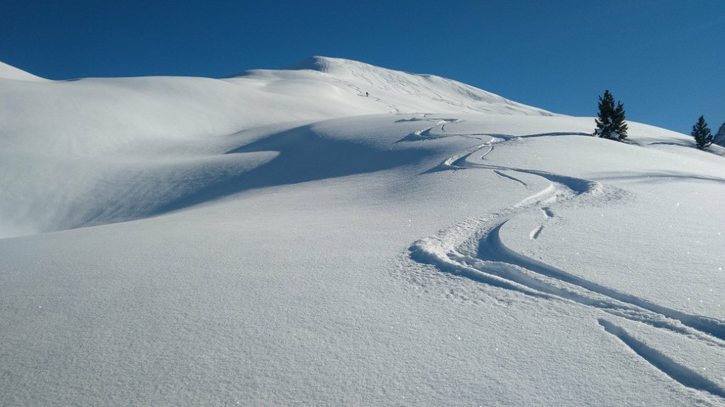 Samedi 13 - descente sur la croupe NNO. pfff, pfff! quelle poudre!!!