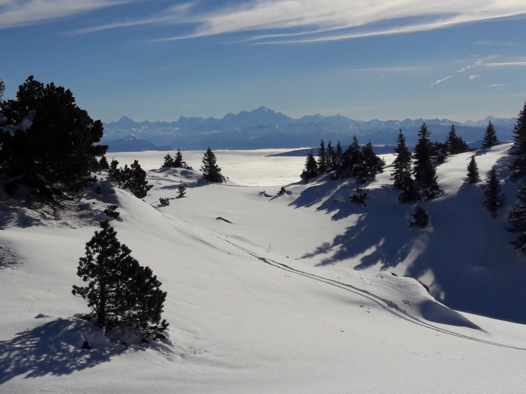 Pins, nuages et Mont Blanc des alentours du crêt de la Neige