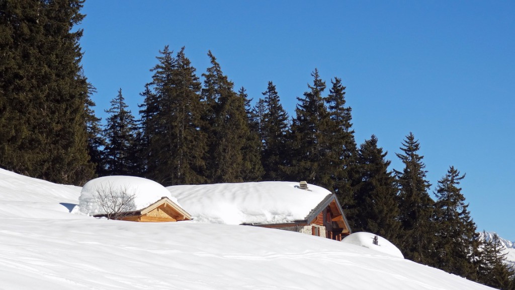 Enneigement vers 1800m