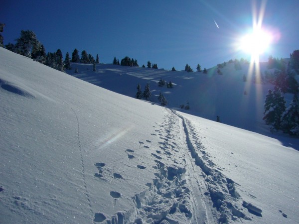 Hauts plateaux de Chartreuse : La rando à ski, c'est aussi tout simplement de belles ballades.