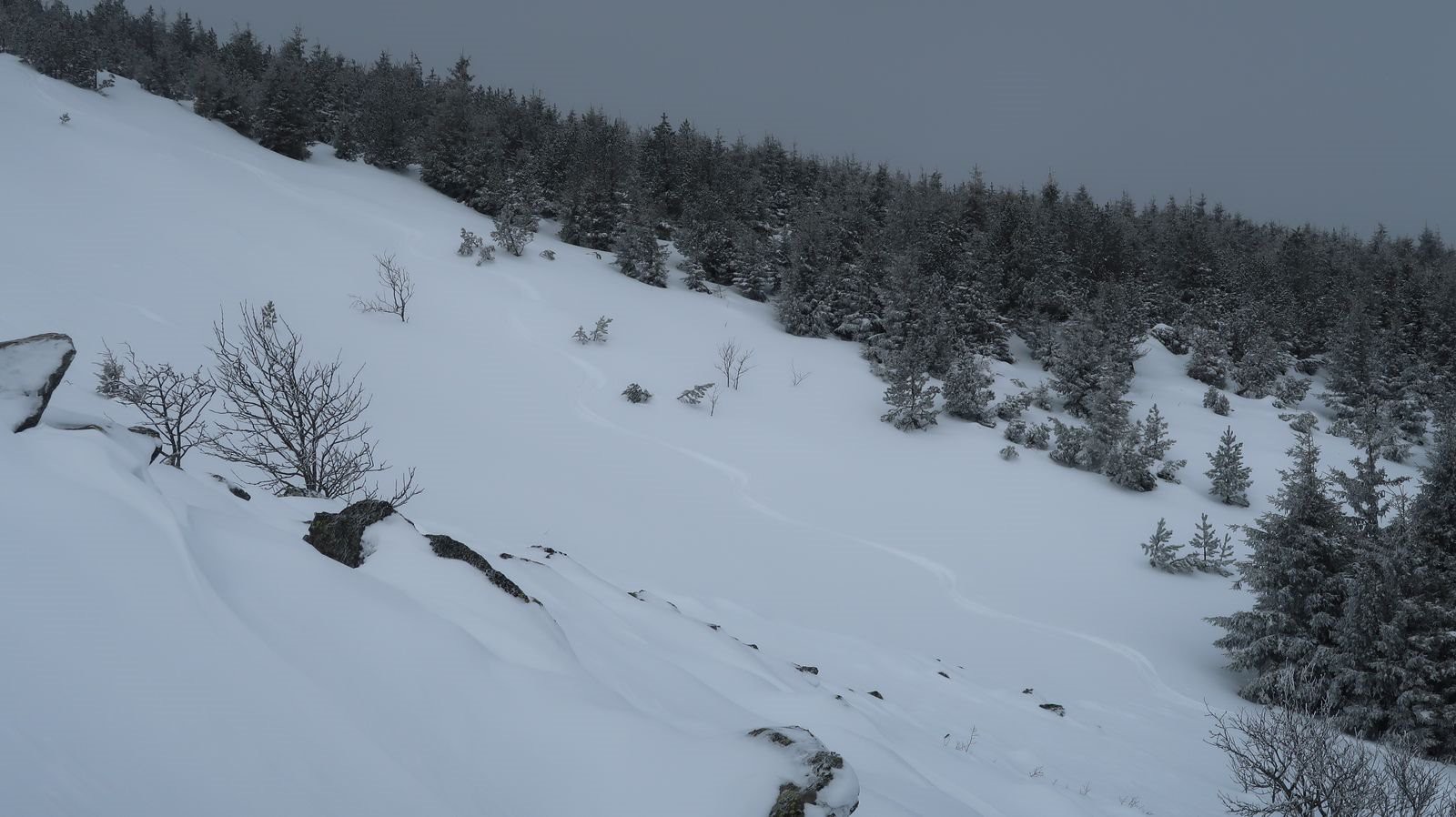 Première trace de la journée