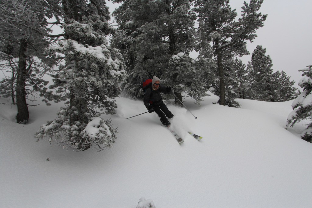 Une descente tout en poudre