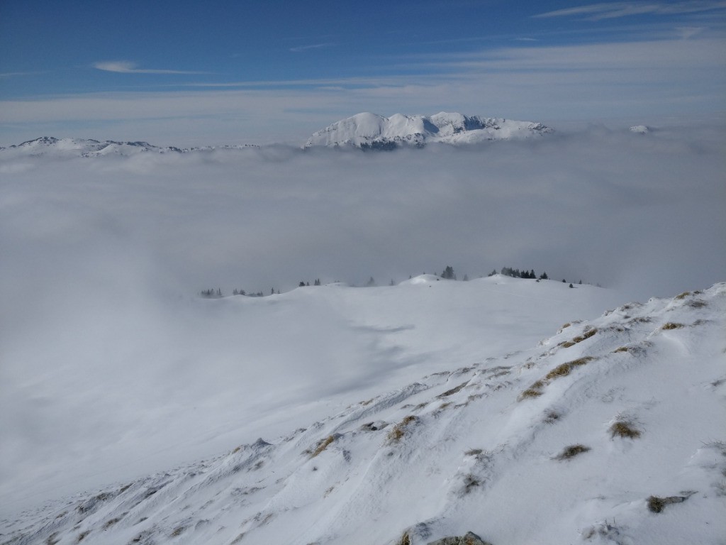 l'alpage... encore dans les vapes ; sous cette partie rabotée par le vent ça devient bien skiant!