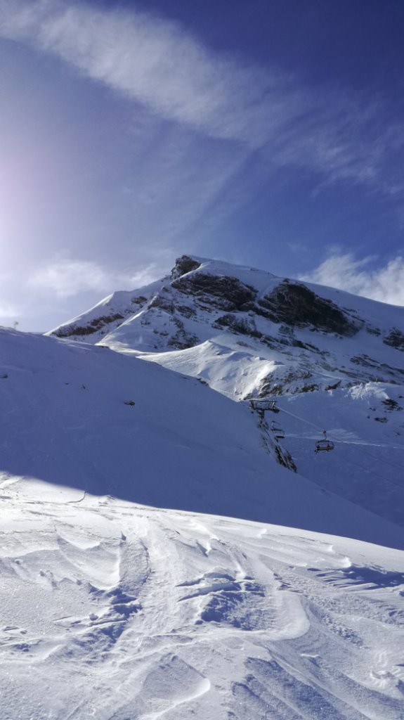 l'objectif de la matinée
