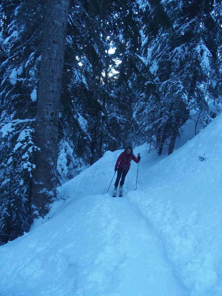 Bonne trace en forêt