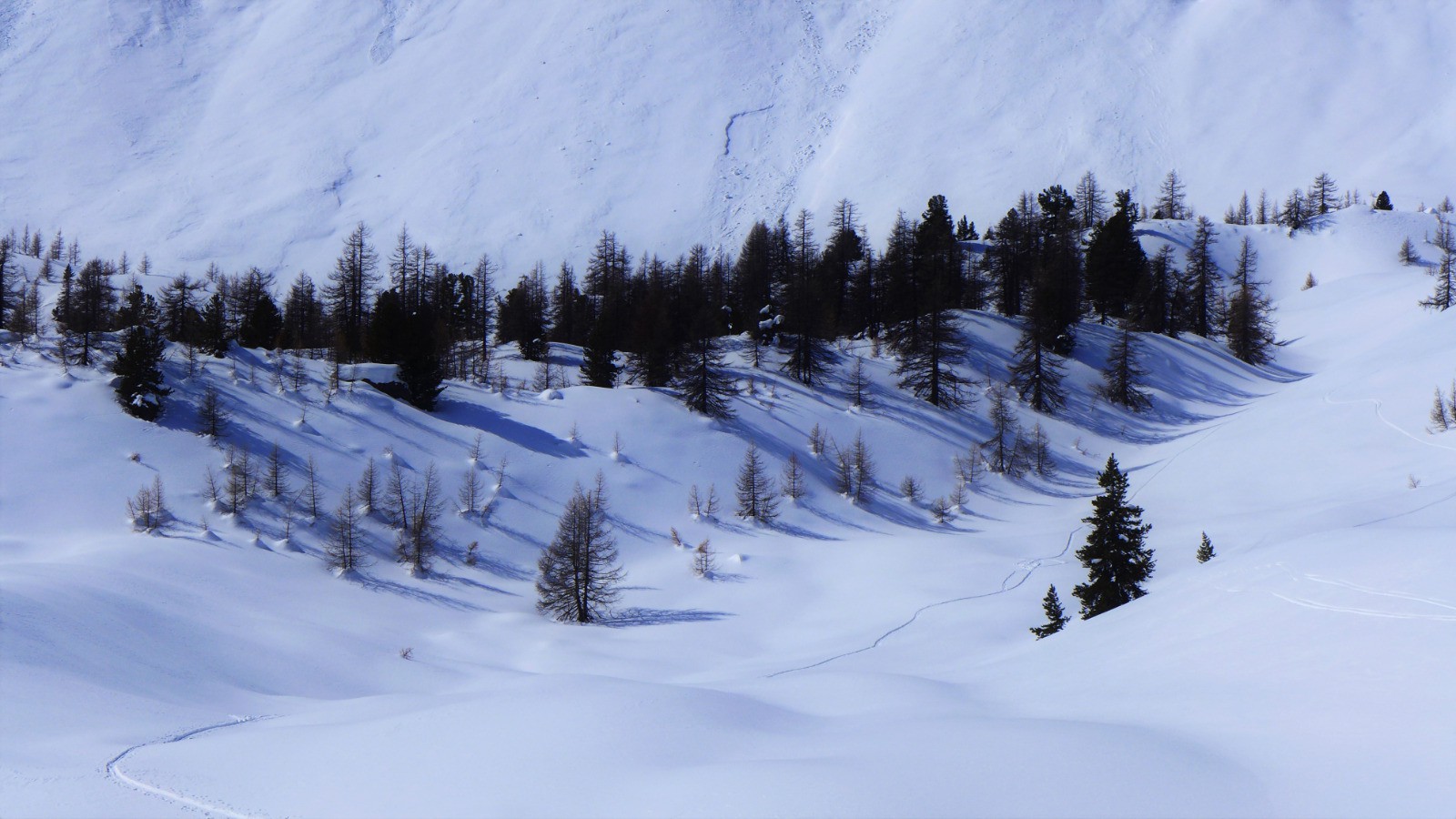 #5 Le vallon au-dessus de la bergerie de la Lause. Le vallon au-dessus de la bergerie de la Lause.