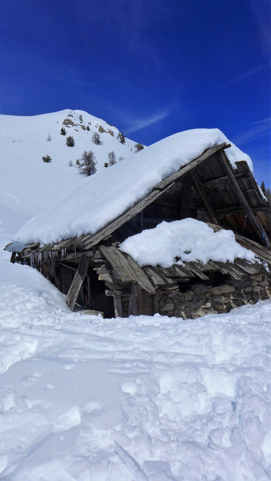 #6 La vieille bergerie de la Lause. La vieille bergerie de la Lause.