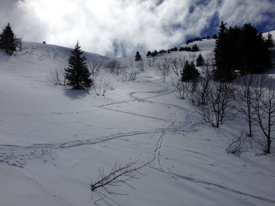 Neige lourde en surface mais bien agréable à skier