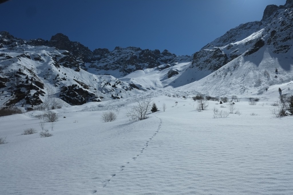 Le Coin Charnier avec sa traditionnelle avalanche mais y a de la place pour skier grand large sur du lisse.