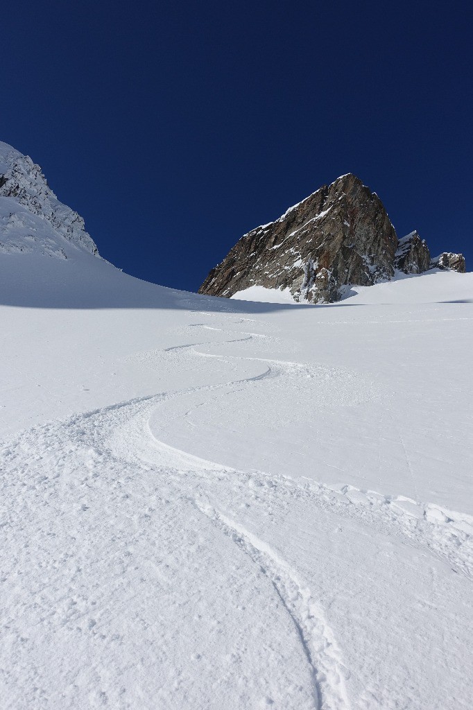 Fabuleux pour la saison