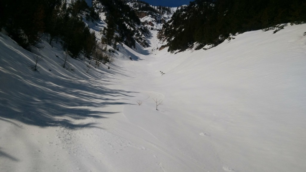 Bas du Ravin du Bois Brûlé en moquette!