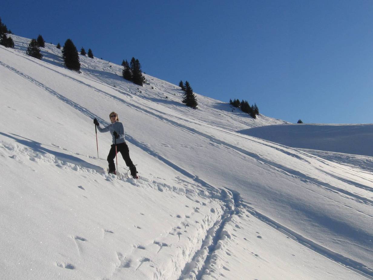 Sous le Roc d'Arguille : Une bonne poudreuse sous le Roc d'Arguille