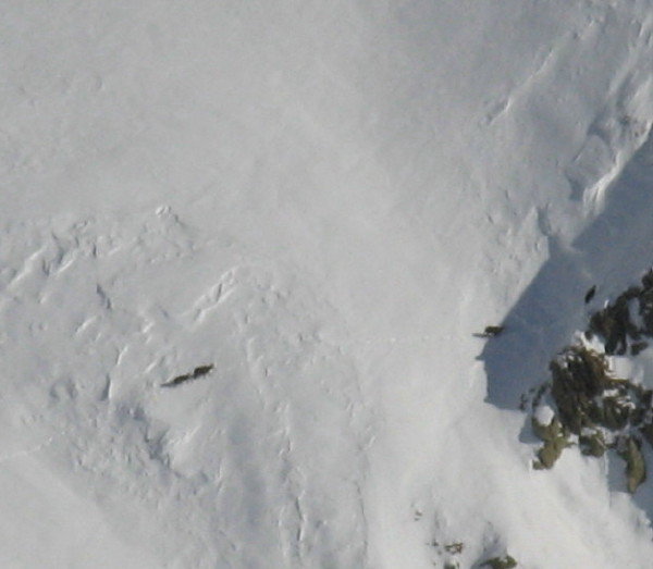 aigleton_6 : Des bêtes à 4 pattes sur le versant de Belle Etoile